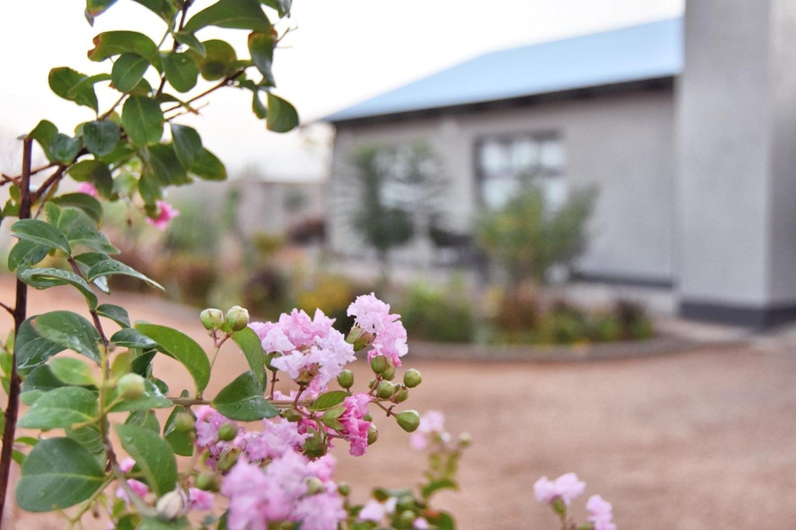 Knowhere Selfcatering Unit 1 Na Omaruru Exterior foto